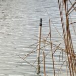 Redox measurements in a drinking water infiltration pond